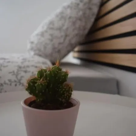 Inmejorable Cerca Estacion Delicias Con Garaje דירה