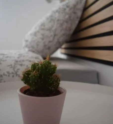 Inmejorable Cerca Estación Delicias Con Garaje Apartamento